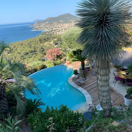 La Venitienne Et Son Brunch Gastronomique Bed & Breakfast Carqueiranne
